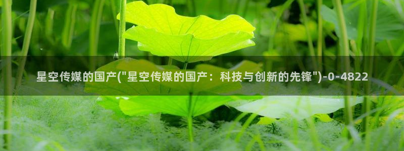 星空传媒亚太：星空传媒的国产(\