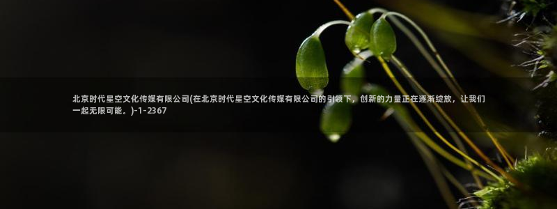 星空传媒各频道