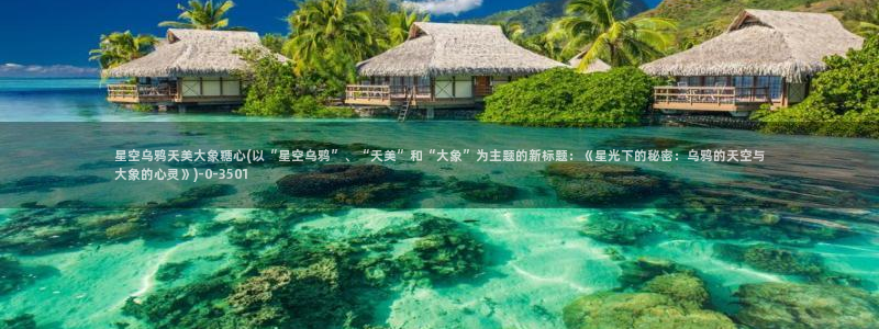  糖心官网vlog：星空乌鸦天美大象糖心(以“星空乌鸦”、“天