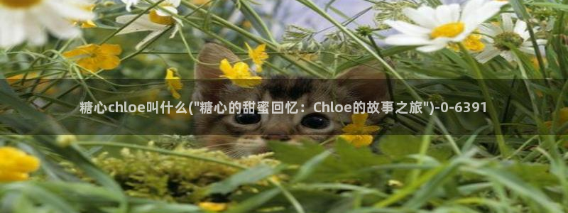 糖心vlog是什么软件：糖心chloe叫什么(\