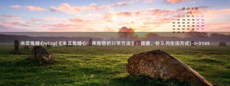  糖心vlog小水水：米菲兔糖心vlog(《米菲兔糖心：养宠物