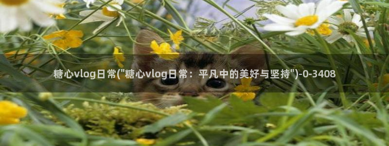  糖心vlog御梦子18：糖心vlog日常(\