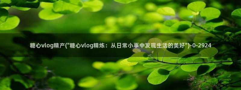  糖心vlog在：糖心vlog精产(\