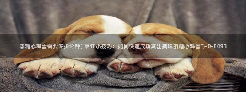 心糖vlog破解版入口