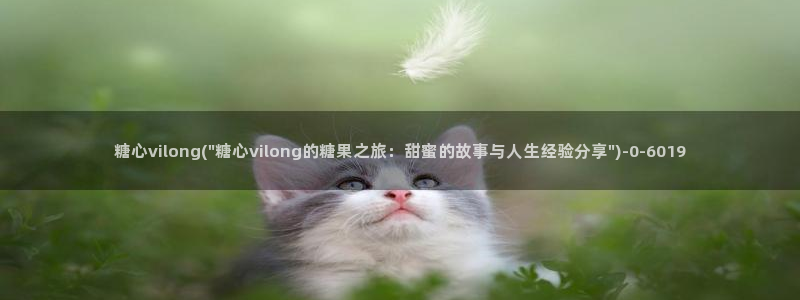 糖心出品vlog